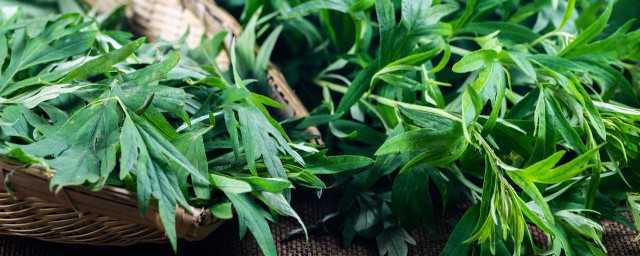 艾叶的做法家常 艾叶怎么做好吃